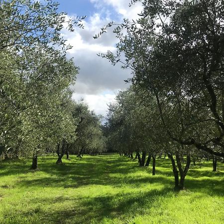 Agriturismo Podere I' Caldino Troghi Buitenkant foto