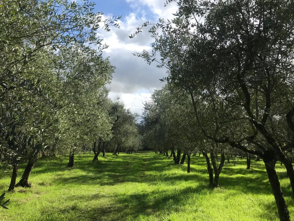 Agriturismo Podere I' Caldino Troghi Buitenkant foto