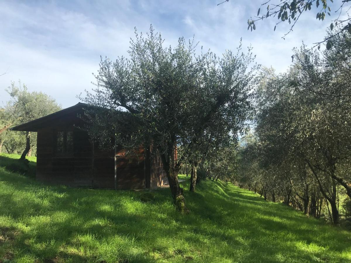 Agriturismo Podere I' Caldino Troghi Buitenkant foto